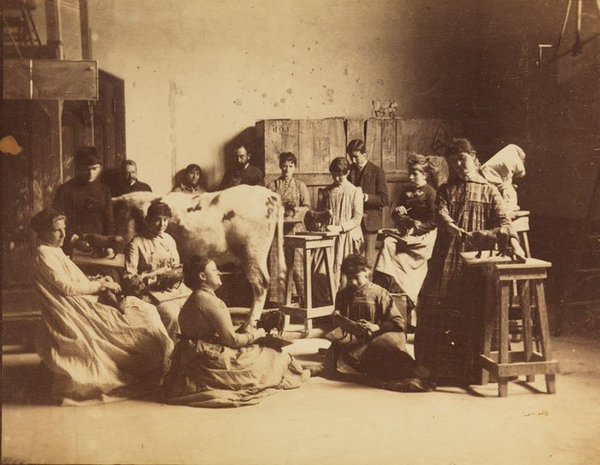 womensart1's tweet photo. Pennsylvania Academy,1855, female students were not allowed a nude human model, as in many art establishments, to improve anatomical drawing......so were given a cow... #womensart https://t.co/9FDATf4K0W