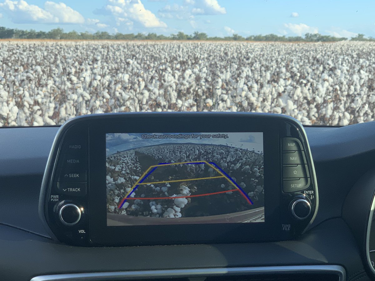 Surrounded by very handy rain grown cotton in NQ earlier this week