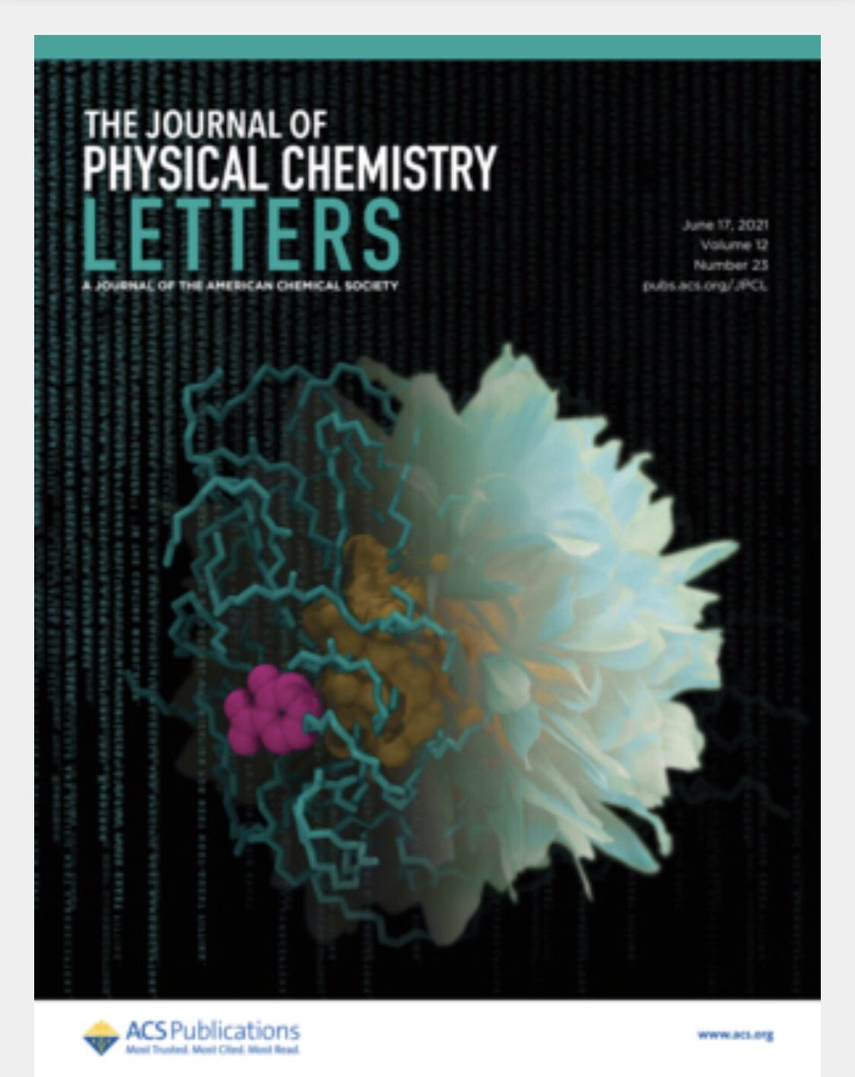 Nanoreceptors on the cover - image from first author Laura Riccardi ! 
<a href="/JPhysChem/">The Journal of Physical Chemistry</a> letters ! 

Brava Laura! 👍👍💪💪💪
<a href="/IITalk/">IIT</a> 

Here:
pubs.acs.org/doi/10.1021/ac…
Enjoy 😊
