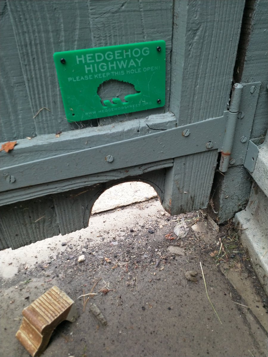 TimFox3's tweet photo. #30DaysWild day 17 - Create a Hedgehog highway, here's one I prepared earlier. Beware of illiterate cats using the hole to access the garden and eat the hedgehog food! #NotTopCat #HogsOnly https://t.co/nXGUxppLYk