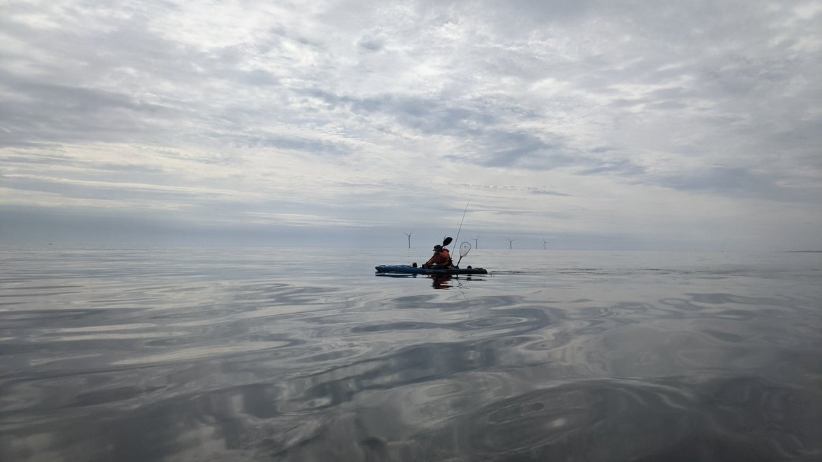 Kayaking before a late shift with dolphins, puffins, and a few fish to boot. Only in #Northumberland 
#itsgrimupnorth