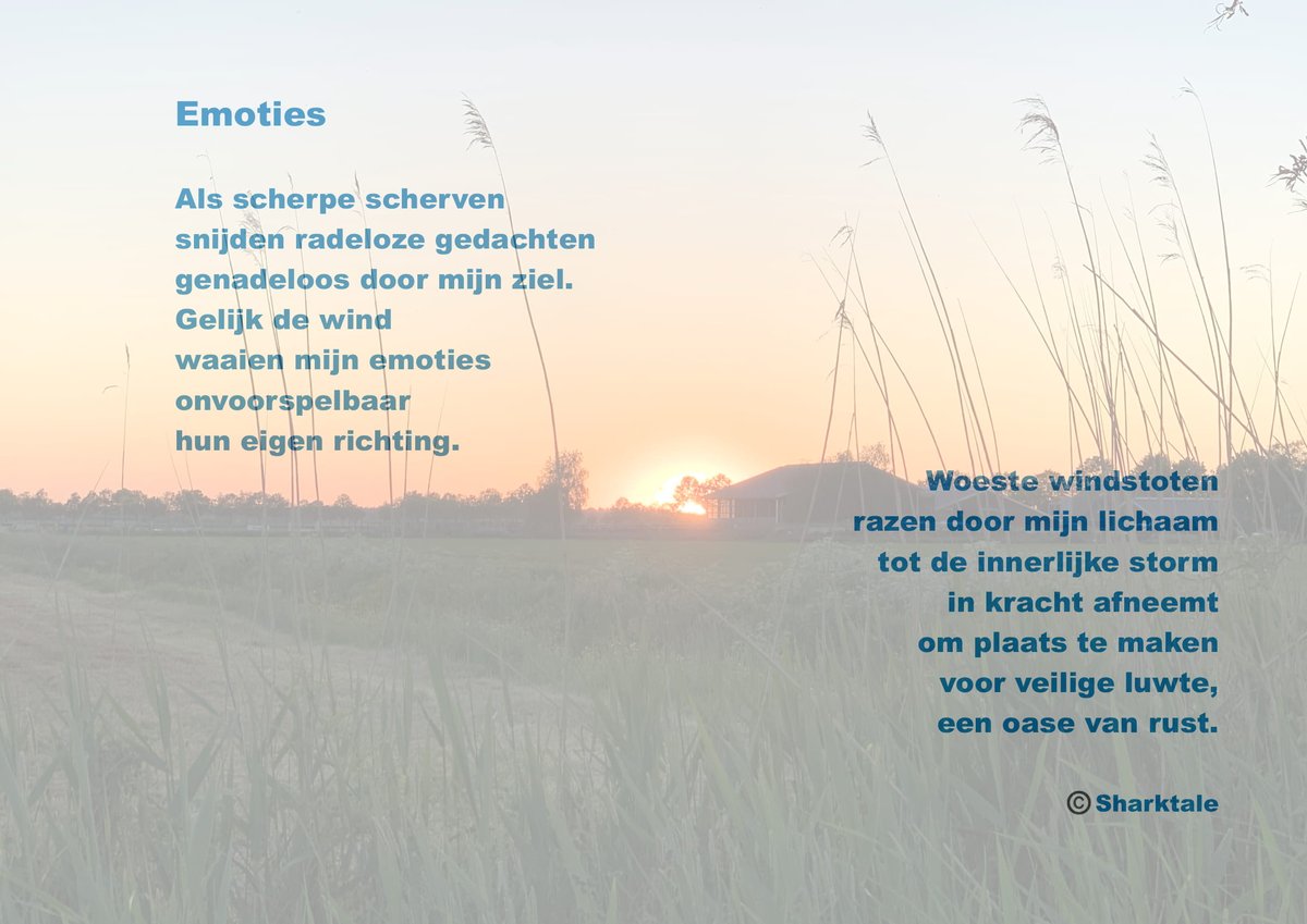 Sharktale's Schrijfsels | Deze week wederom een prachtige bijdrage van  <a href="/Sharktalewriter/">Sharktale</a>! Heb jij op wat voor manier ook een band met de ggz en wil je jouw schrijf-, teken- of fotokunst delen met de wereld? Stuur ons een bericht of mail naar jijdoetertoe@dimence.nl.
#Emoties #ggz