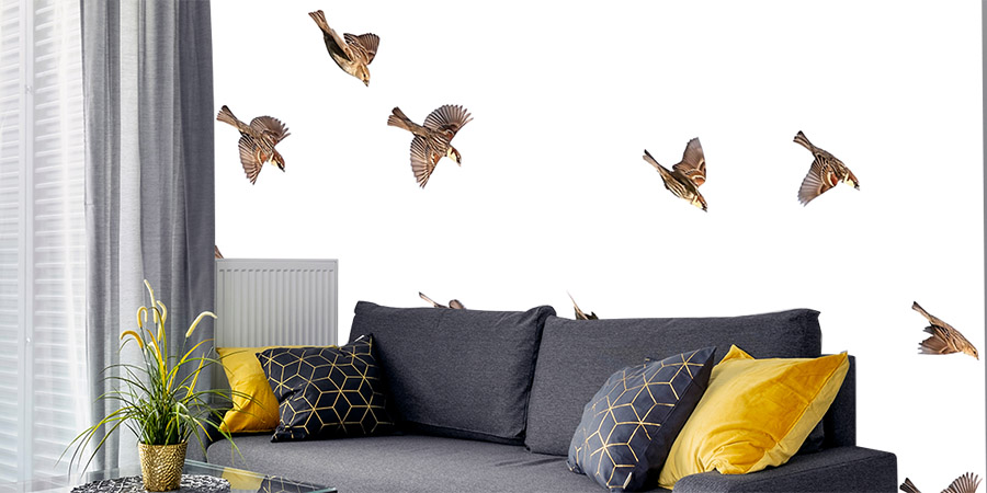 De mussen vallen van het behang!
Juni actiemaand fotobehang 
Van 35,- voor 25,- per m2
Met fotobehang creëer je een hele nieuwe sfeer in de woonkamer, slaapkamer of kantoor. Met een leuke eigen foto of via onze beeldenbank.
grafischeffect.nl/fotobehang
#fotobehang  #onweer #nedaut