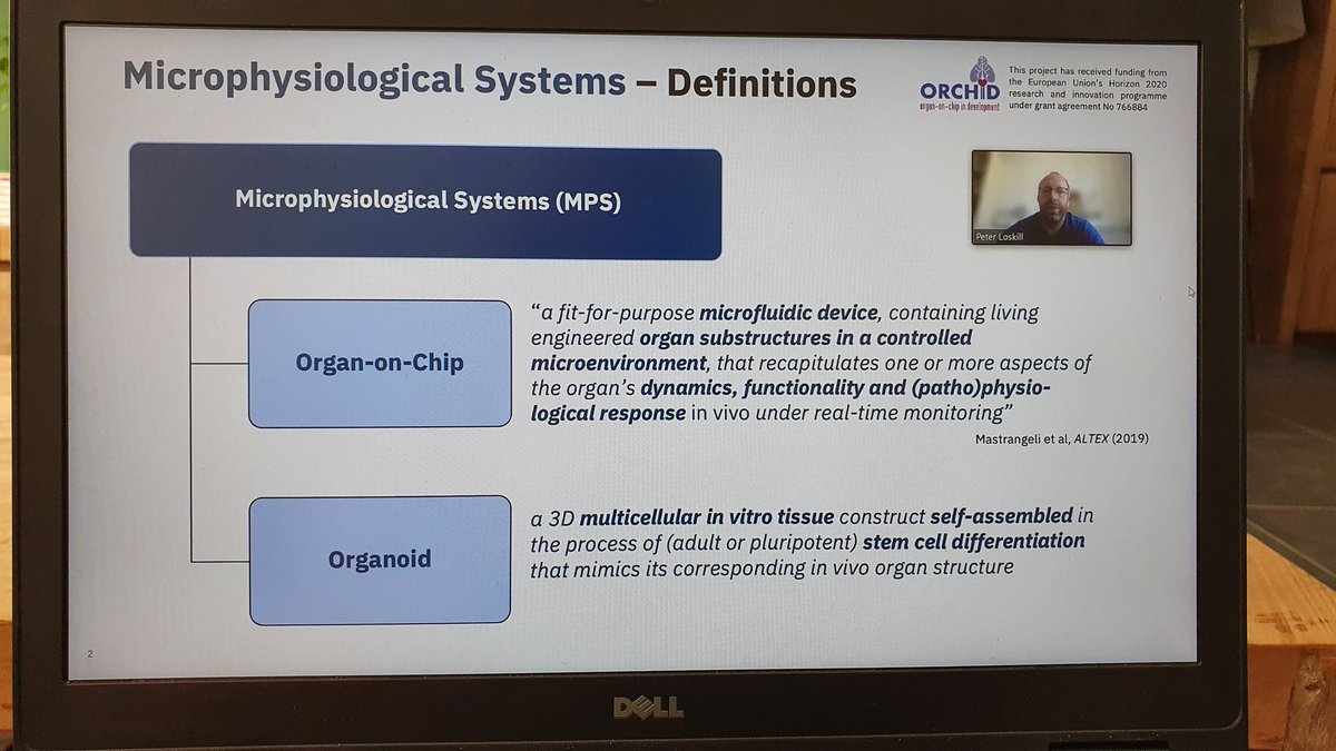 nociorganonchip's tweet photo. We had a very nice training day organised by @_Hubrecht institute. With very interesting talks by @HansClevers, @pvulto and @pe_losk. Thanks to you all for making this a very informative digital training day! #ooc #hubrecht #organonchip #training #noci https://t.co/0JbOKSWv8T