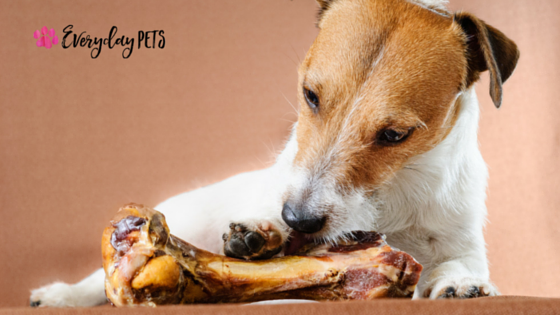 Everyday_Pets's tweet photo. We love watching our pups' faces light up after getting a well-deserved treat! We only want the best for them, so we always strive to make sure they are eating #HealthyTreats. 

Here are some of our favorite DIY treat recipes today! 
https://t.co/WbK4AasFf9

#DogTreats https://t.co/IEBMB9keaY