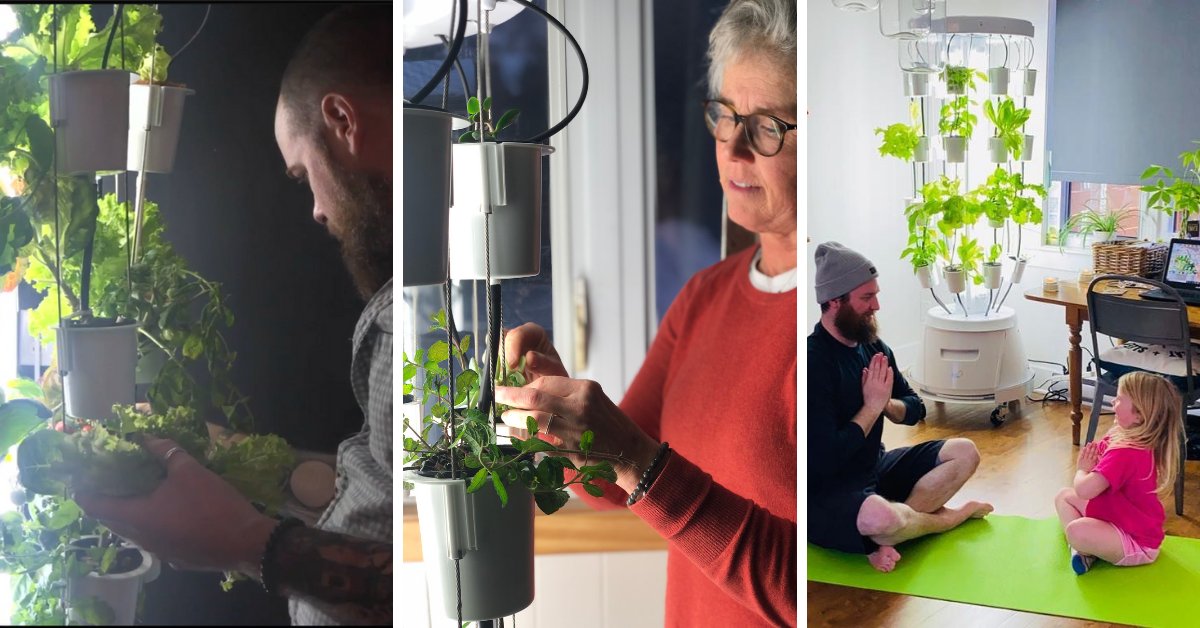 "Plants are passive and can be inexpensive, but allow gardeners to claim a sense of responsibility and purpose through caring for them."Check out our new article on how mental health and gardening interact. Written by Lauren Jelinek. bit.ly/2SA73F8 #Mentalhealth #plants