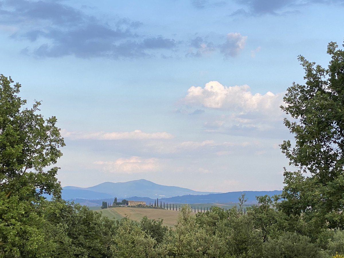 ale 🇺🇦 tweet media