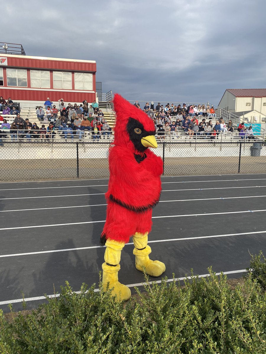 Lucinda Supernavage (@l_supernavage) on Twitter photo Happy #NationalMascotDay to our cutesy cardinal! #charterschoolsofnc #cardinal #letsgocardinals <a href="/UAathletics/">Union Academy Athletics</a> <a href="/UAcharterschool/">UACharterSchool</a> <a href="/JSuttonSmith/">Jennifer SuttonSmith</a> <a href="/JZUAHS/">Jim Zorn</a> Happy #NationalMascotDay to our cutesy cardinal! #charterschoolsofnc #cardinal #letsgocardinals <a href="/UAathletics/">Union Academy Athletics</a> <a href="/UAcharterschool/">UACharterSchool</a> <a href="/JSuttonSmith/">Jennifer SuttonSmith</a> <a href="/JZUAHS/">Jim Zorn</a>