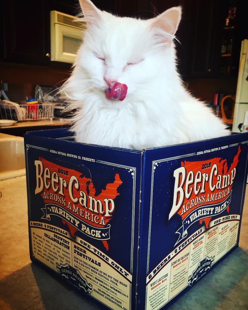 JimmRet's tweet photo. #ThisDayIn 2016
#thePuff loves the @SierraNevada #Beercamp #beerfort!
#WaybackWednesday #beercat #gato #貓 #kitty #猫 #bier #cat #instacat #CatsOfTwitter #neko #catstagram #craftbeer #beer #whitecat #catswiththeirtonguesout https://t.co/1zggozuTmw