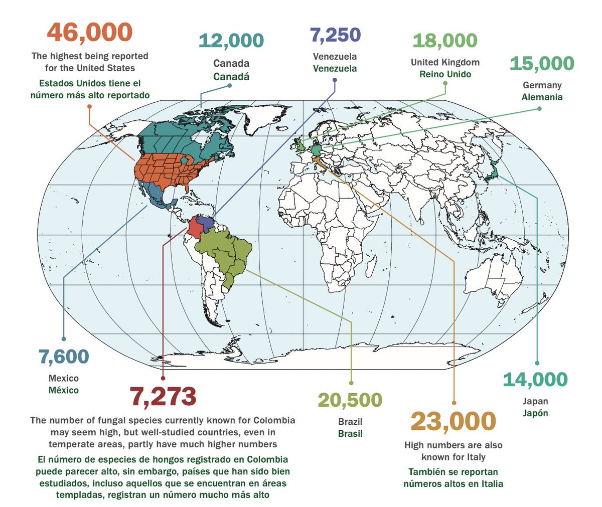 Did you know that at least 441 🍄 species in #Colombia 🇨🇴 have reported uses? Colombia has now an online portal on fungi!! 🥳  @kewscience  and colombian institutions worked together to generate this portal. Lern more here  >> bit.ly/3xhvO7q