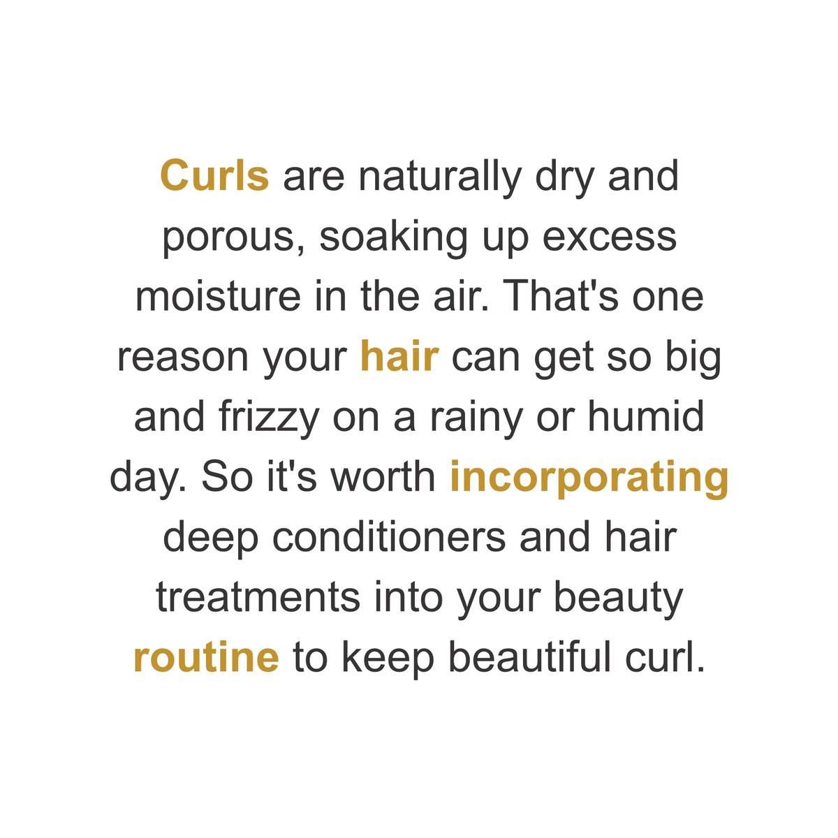 LocsVanity's tweet photo. Curls are naturally dry and porous, soaking up excess moisture in the air. That's one reason your hair can get so big and frizzy on a rainy or humid day.
----
🌐 https://t.co/lxHWCEnJv4
.
#vanitylocs #dreadlocks #naturalhair #haircare #selflove #selfcare #selfconfidence https://t.co/Jg0BEVsMhn