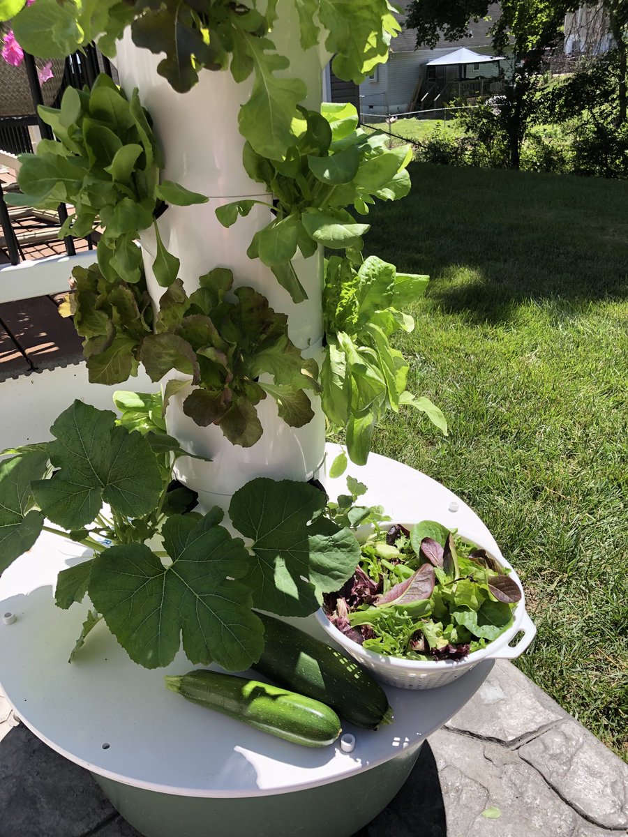 Summer Reading and homegrown food! So excited for some reflection and recharge!!