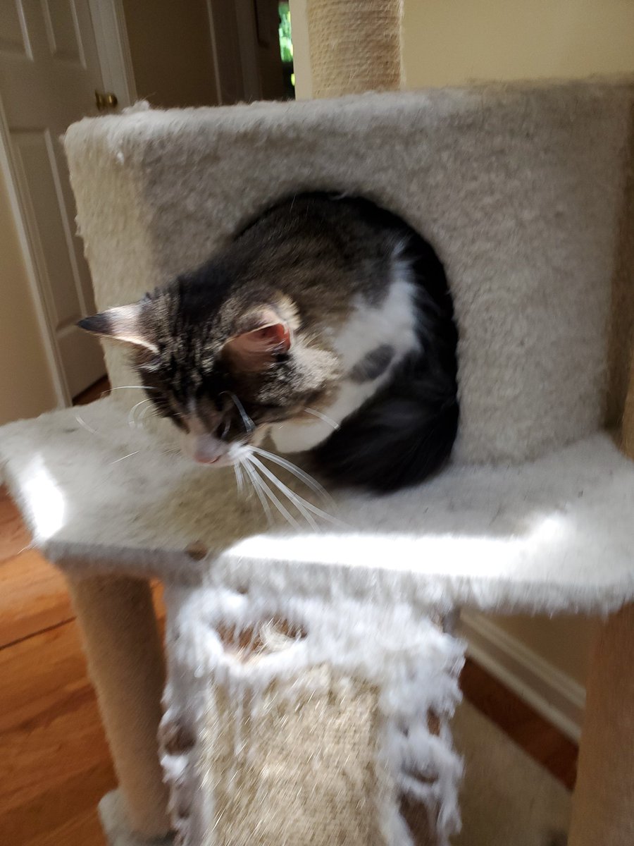 do not !
perceive me