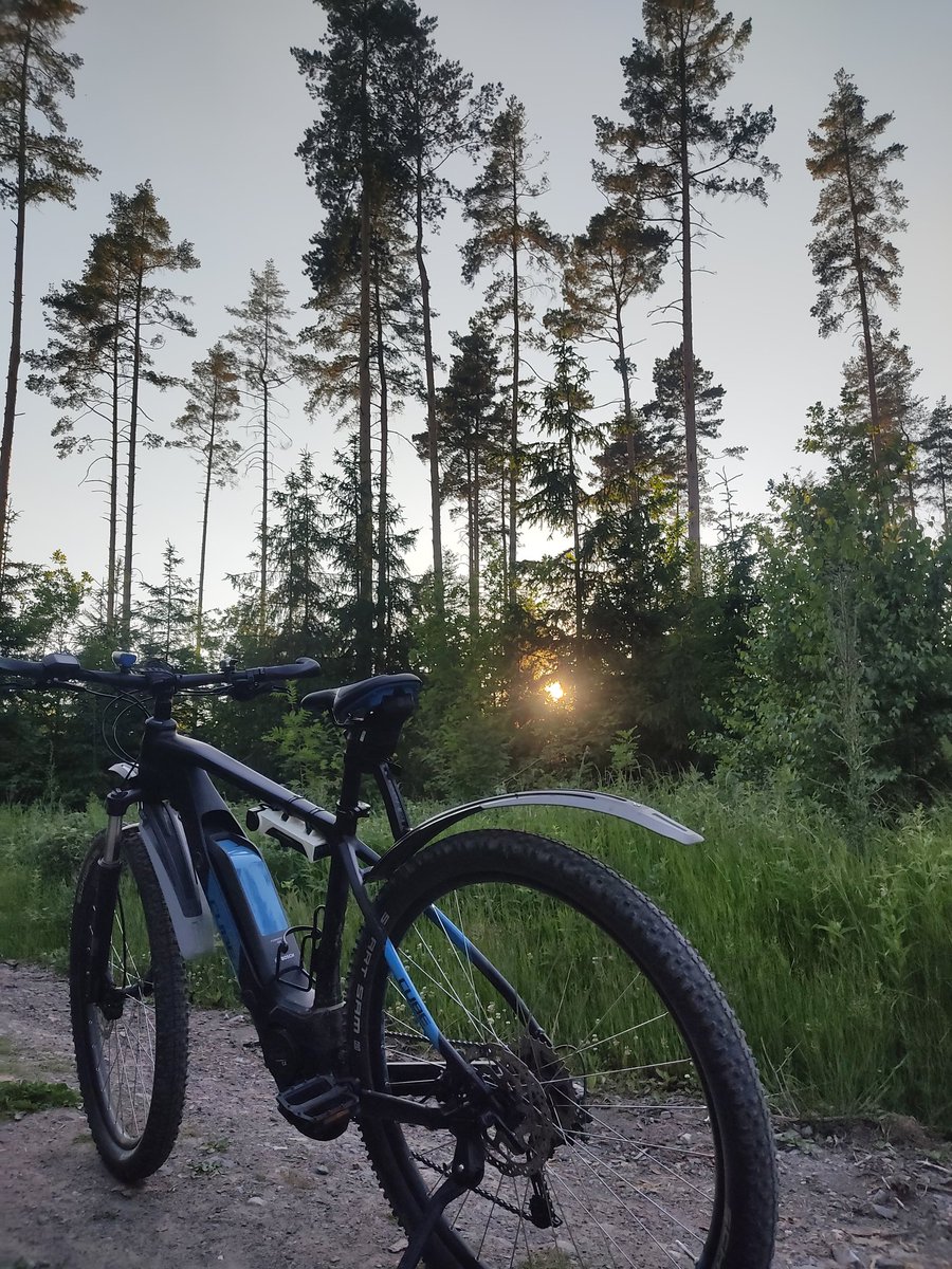 BecherZone's tweet photo. Heute zwei Mal zur #HolunderErnte gewesen 🚴 und #Holundersirup angesetzt 🍸 https://t.co/NyDhNCXd78