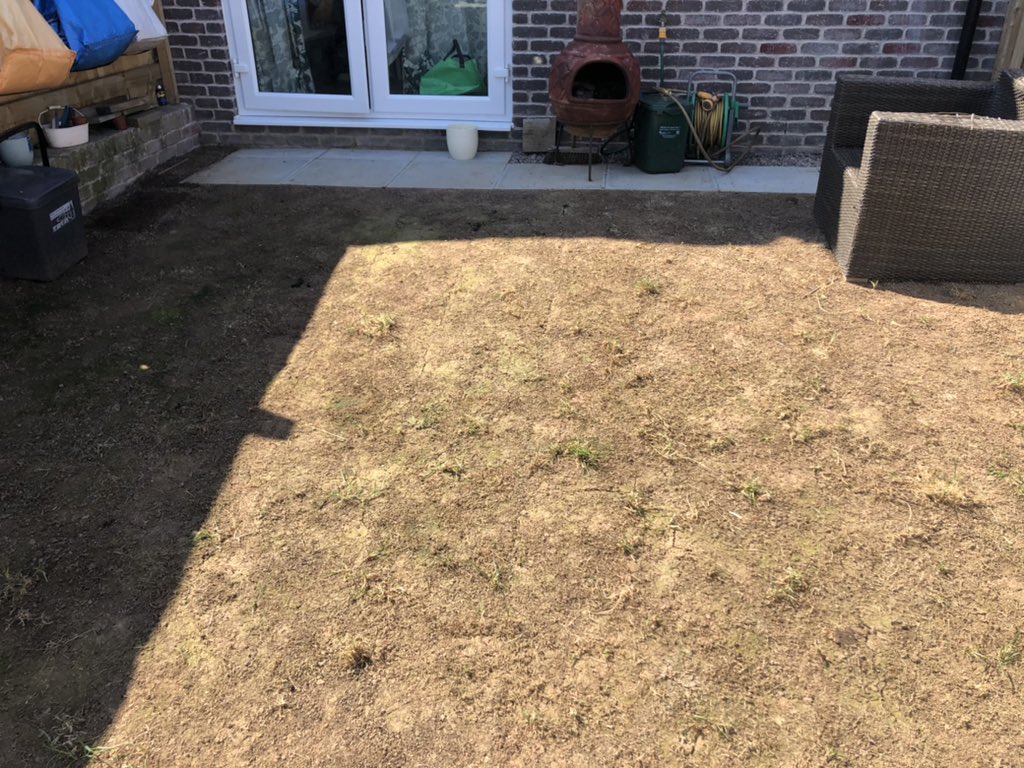 Laura O'Callaghan tweet media