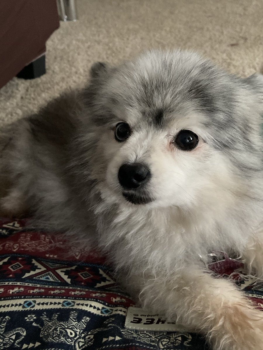 𝓣𝓐𝓑 🌻 tweet media