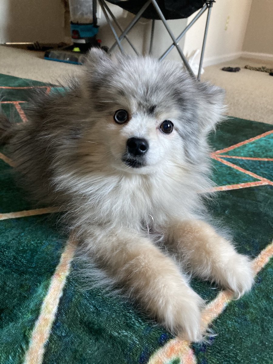 𝓣𝓐𝓑 🌻 tweet media