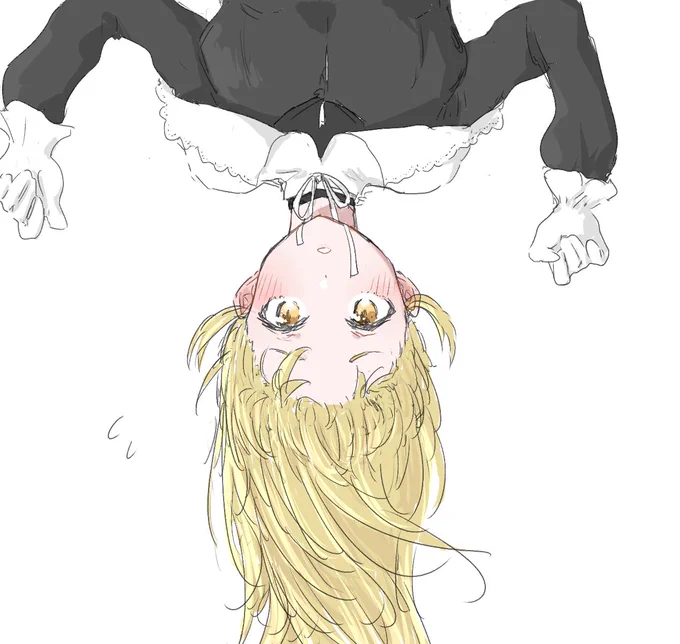 #描いたよクレアさん 

さかさまくれあさま 