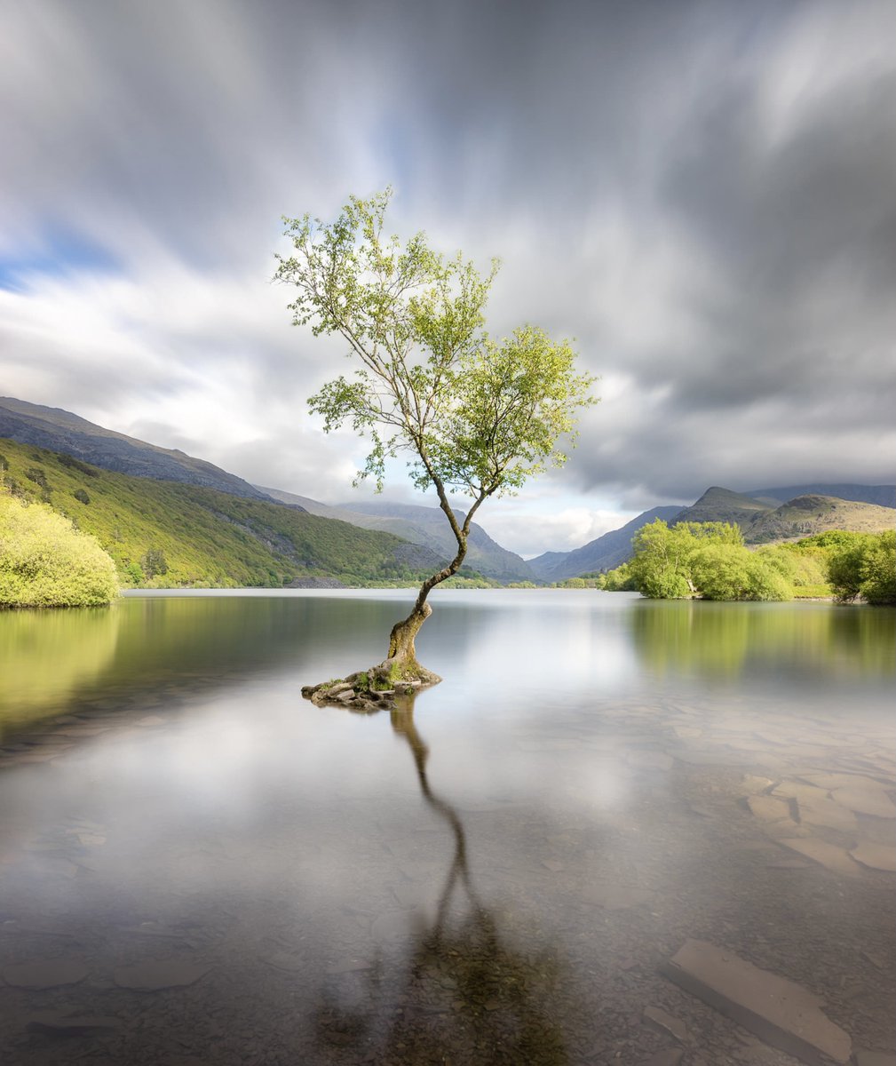 ramblingsloa's tweet photo. Even in the midst of life’s many storms
We have the capacity to stand in the center of our own peace.

📸 Brett Gasser https://t.co/fAlsQc7vR4