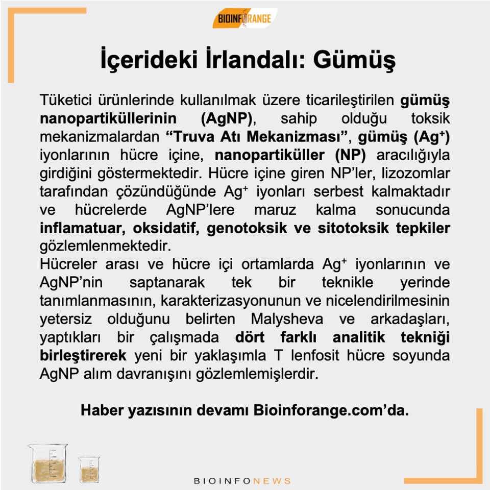 bioinforange's tweet photo. #tlenfosit #hücre #cell #nanopartikül #gümüş #bilimlekalalım https://t.co/zwvtuVIiOB