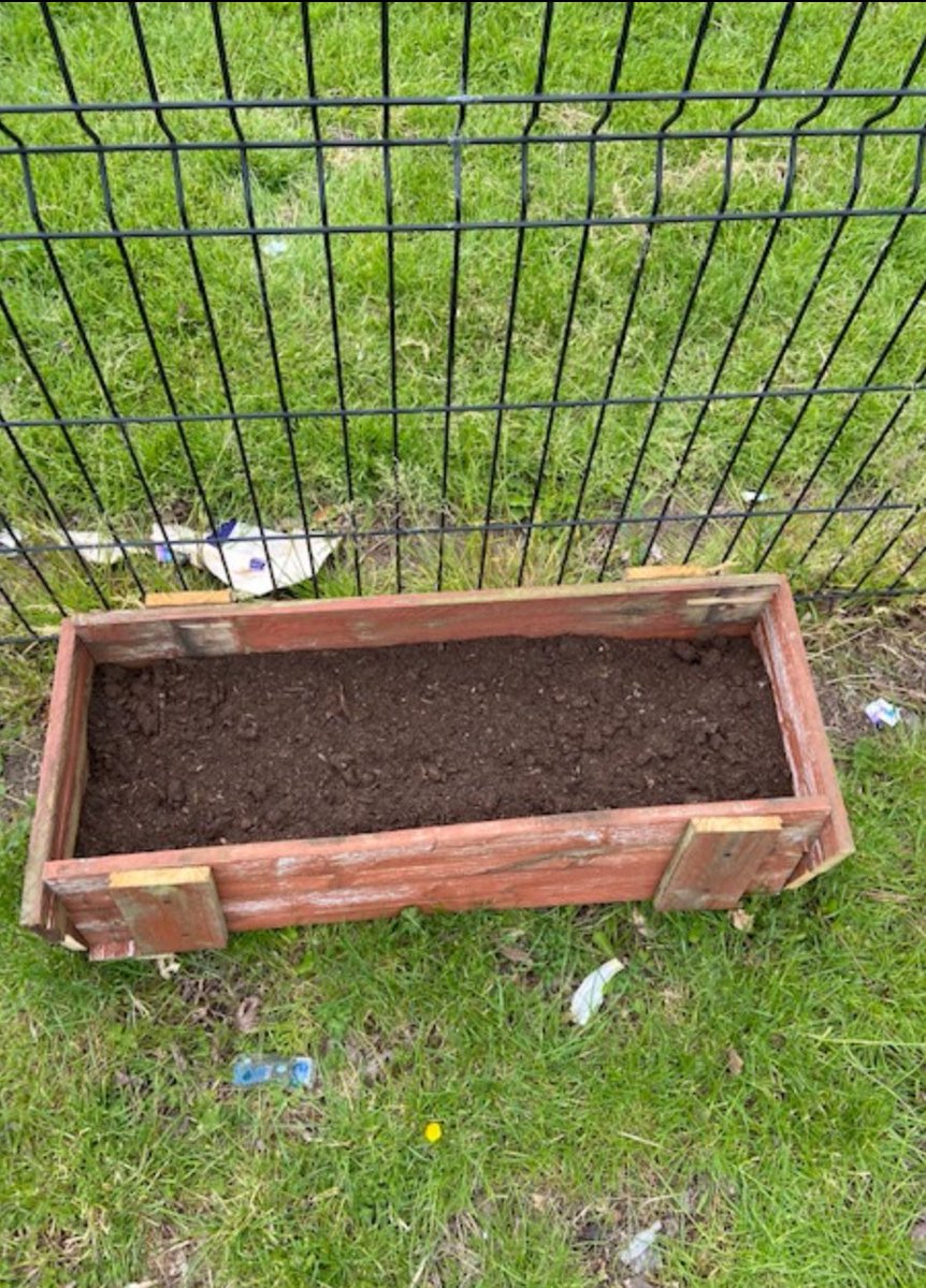 MrBrown_SPS's tweet photo. Delighted with my class and their brilliant idea of building planters to improve mental health in our school.They have worked hard throughout this process and are ecstatic to have won this award! Looking forward to using the money to leave a legacy! @StenhousemuirPS @SEA_Edu https://t.co/n54eMHTwcx