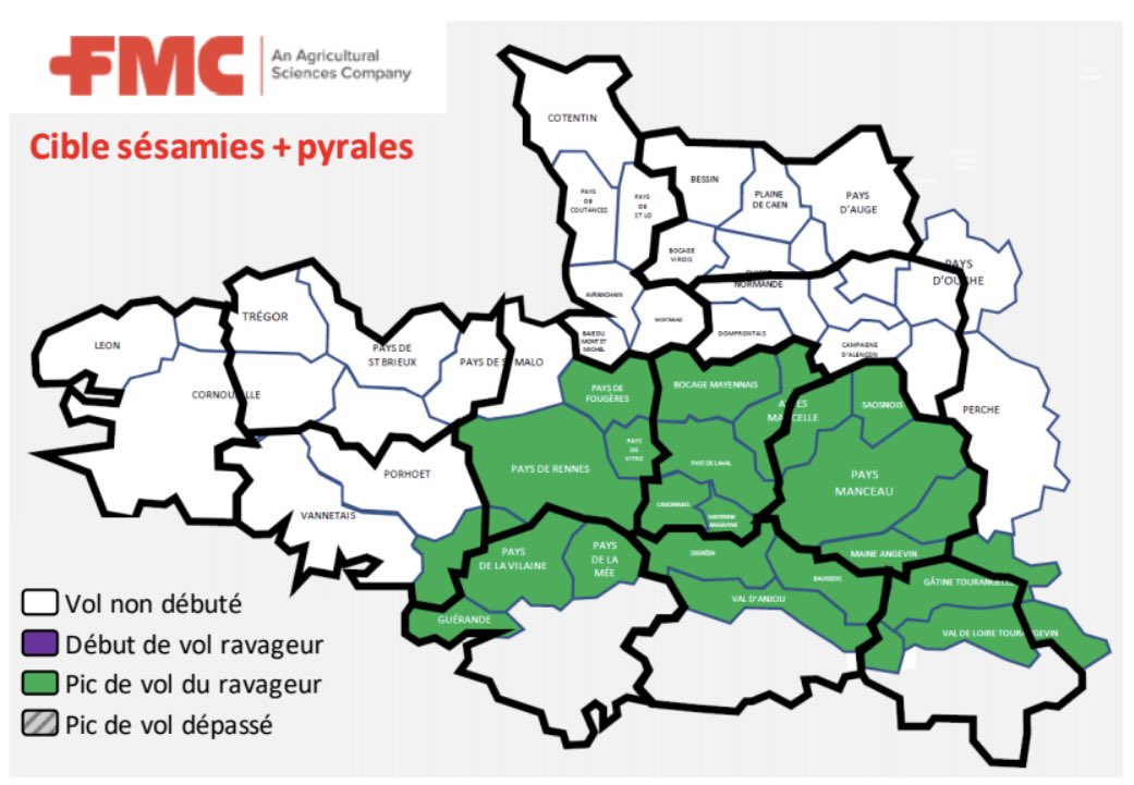 #JeudiInfo le vol de #sésamie 🦋🐛🌽 se poursuit dans les zones concernées.

▶️ Les 🦋 de sesamie continuent à être capturés dans les pièges 💡

▶️ Nouveauté de cette semaine,  sur cette zone📍, quelques 🦋 de #pyrale ont été capturés.

#CornLovers @FMCAgro