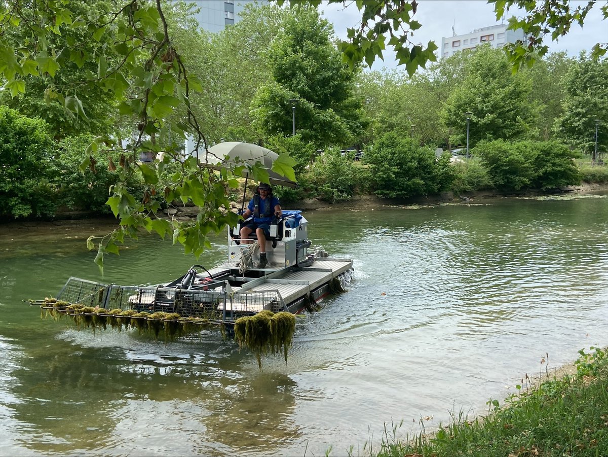 vnf_officiel's tweet photo. Dans le cadre de la Mission d'info @AN_DevDur sur la prolifération des #plantesinvasives, une #visiteTerrain a été organisée sur le #CanalDeBourgogne pour mobiliser sur ce phénomène écologique inédit, véritable fléau pour nos rivières, fleuves &amp; canaux
https://t.co/5dOE6bqMgm https://t.co/V9s36HgmDF