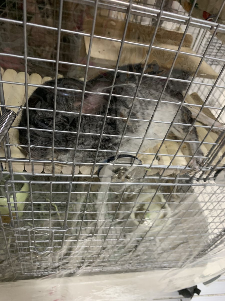 moppumam's tweet photo. お砂遊びで疲れたくるみちゃん…
母は熱で死んでます。
やっと高熱から微熱になったー💦 https://t.co/zgOKNLmIzH