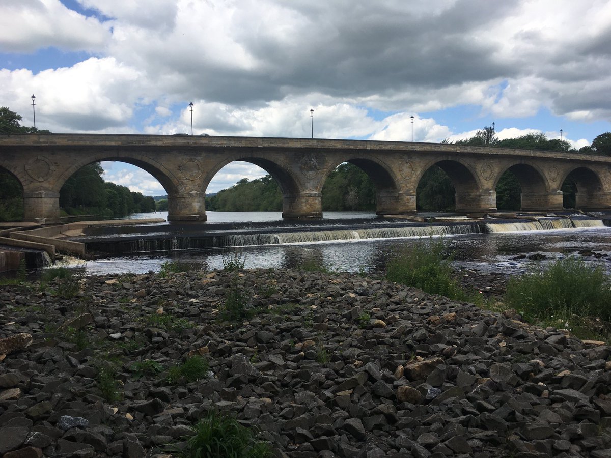 Ian Johnson tweet media