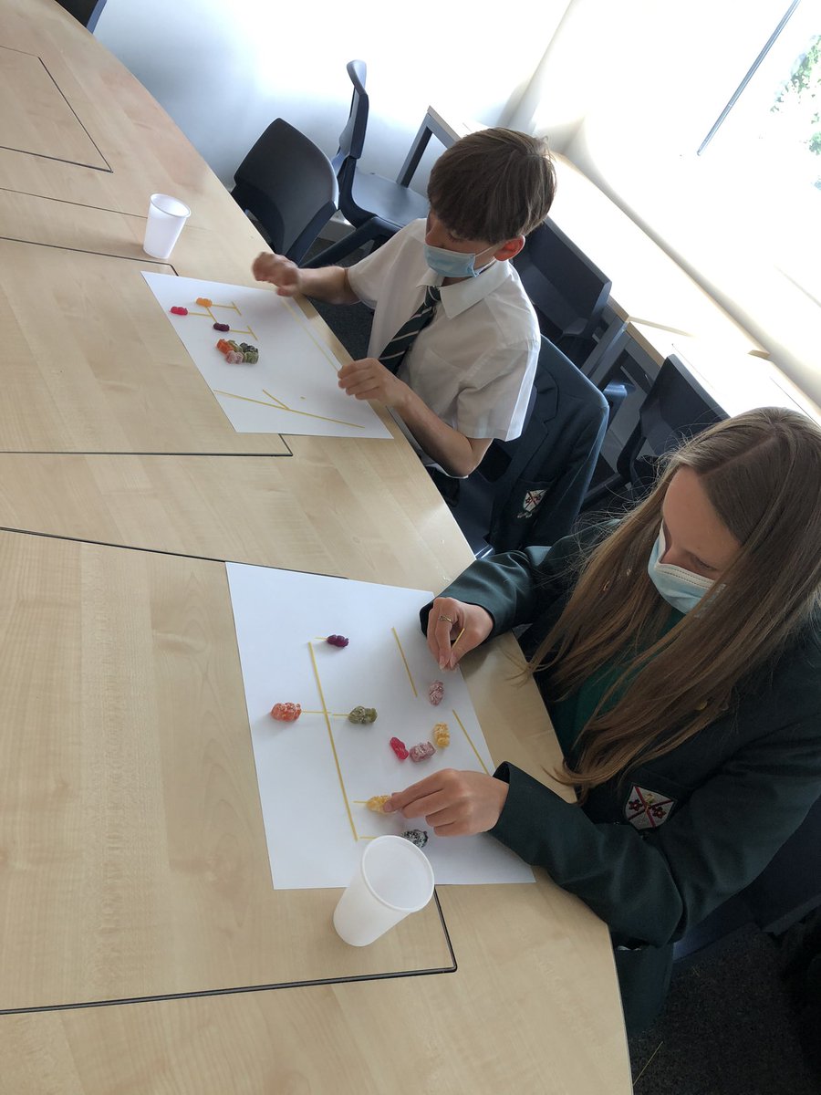 StPatsBusStds's tweet photo. Today we made organisational structures using jelly babies #year9 #ocrbusinessstudies there weren’t many left by the end 😉 https://t.co/0bLTx15fgx