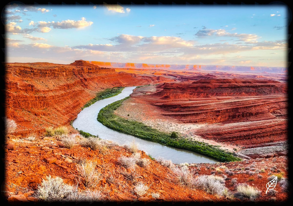 CourthneyJr's tweet image. R&amp;amp;R Vision 

#iphone12promax #elevatevoices #culturalcreator