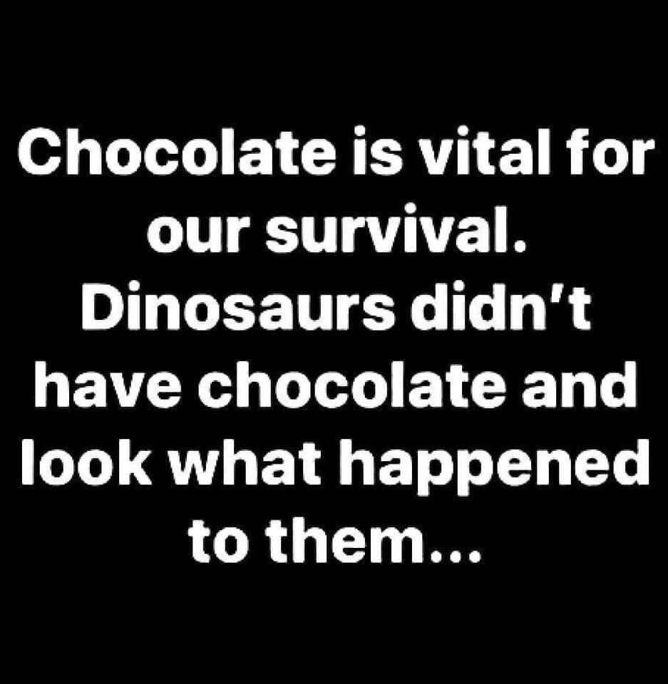 Beks__P's tweet image. Chocolate is vital for our survival... Dinosaurs didn't have chocolate and look what happened to them...🦕🍫🦖🍫