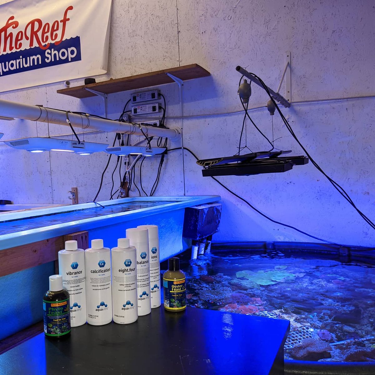 thereefINDY's tweet photo. Don't forget to head over to our Facebook page to submit your entry into our monthly contest for your chance to win this #coral additive collection!

#aquariumhobby #aquariumfish #reeftank #corals #localfishstore #shoplocalindy #thereefindy #indianapolis #indiana #indy #visitindy https://t.co/L5nsEvMEAh