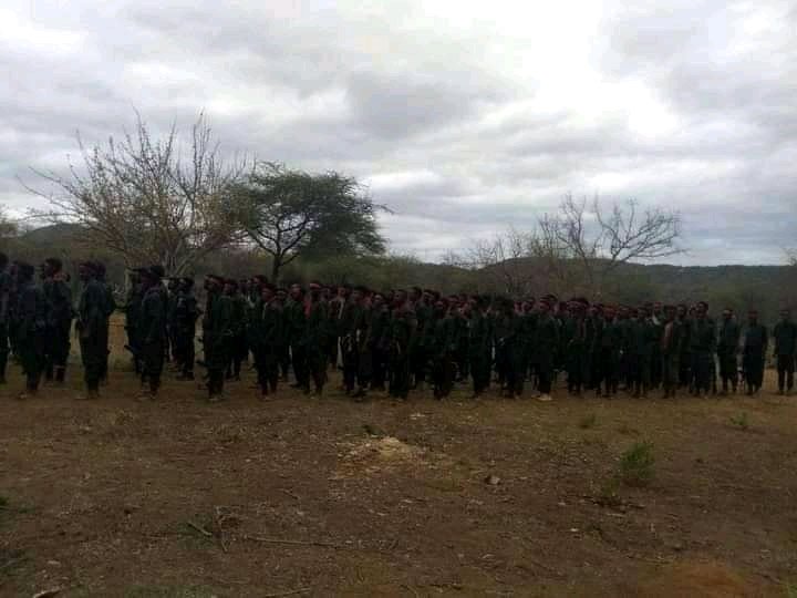 JGamtaa's tweet photo. CONGRATULATION!!
OLA CIBRA SODOM BORO IN SOUTH OROMIA!

The force has graduated today and sent to different areas of Oromia!! https://t.co/RIIK8vDaLI