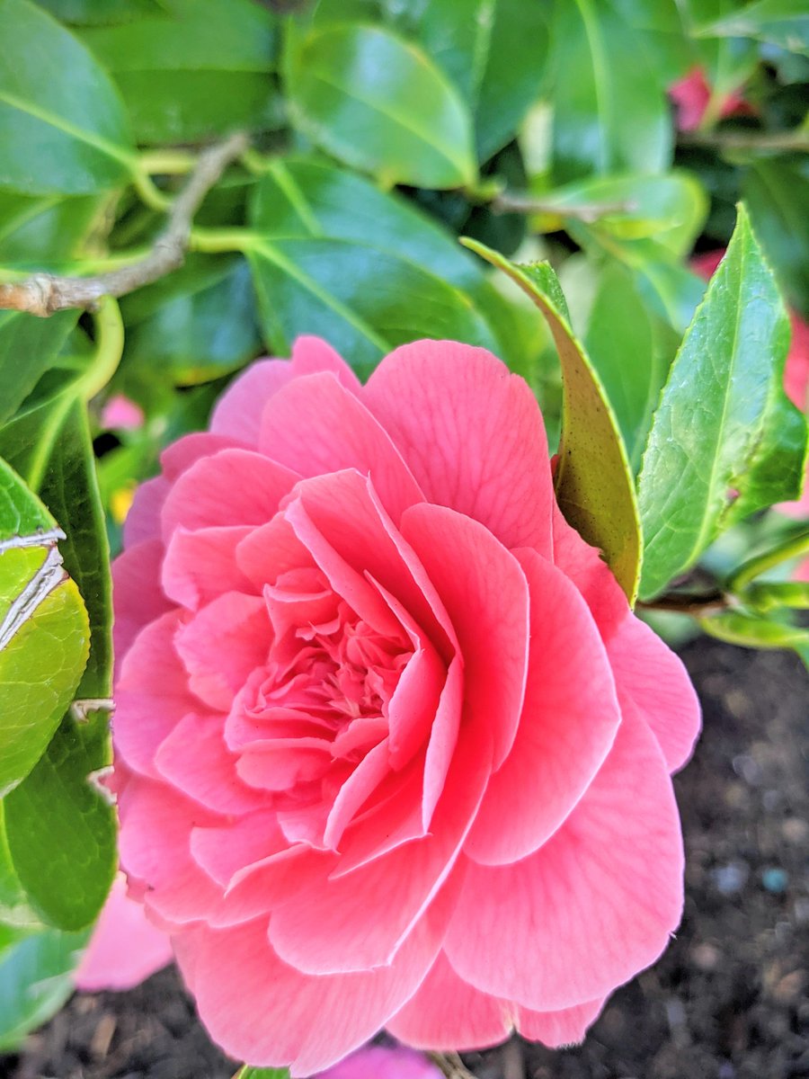 Happy Thursday! It's beautiful weather out here in the Pacific Northwest - shaping up for a beautiful weekend.