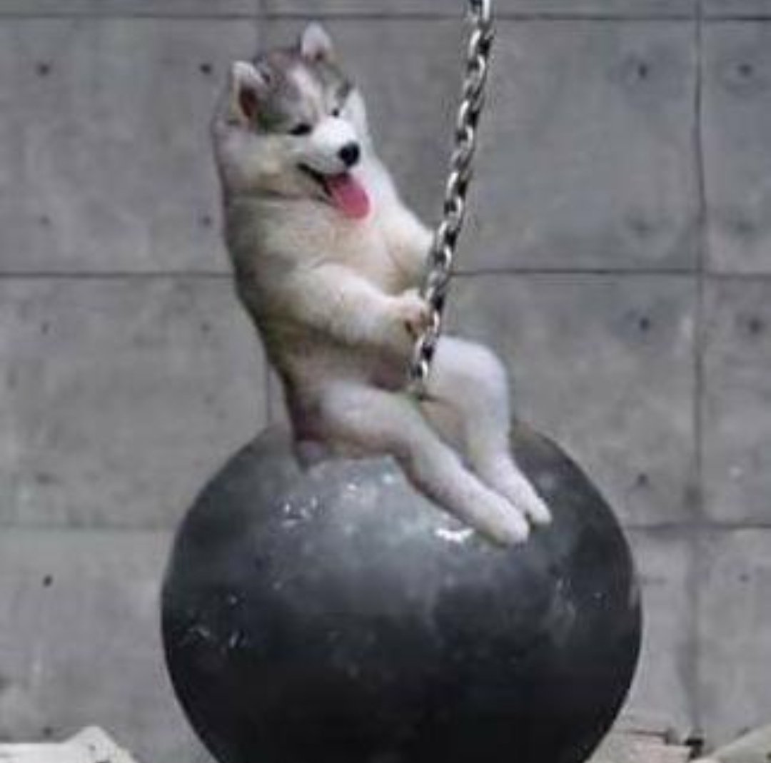 FilCSilva's tweet image. 1. pegue a sua 1ª foto do perfil do facebook.
2. agora pegue a do perfil do whatsapp.
3. coloque-as do lado a lado e vamos ver a diferença.