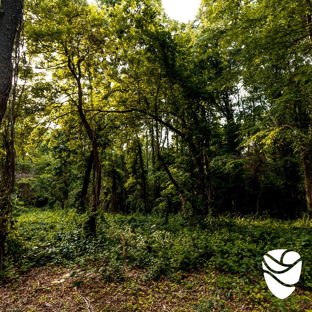 Black and brown people from urban areas face many barriers to outdoor recreation. Here’s how one group overcame them.

on.natgeo.com/35uVKAL