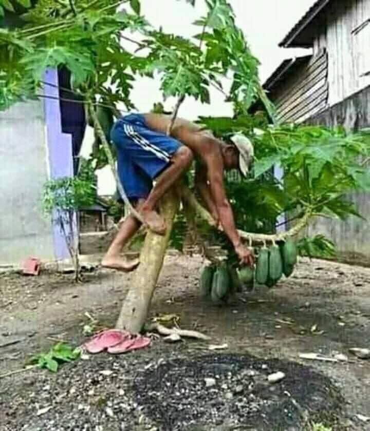 Abdirah44279506's tweet photo. DOORASHADA DADBAN IYO DAMACA BADAN.
Damac waalan iyo
Maskaxdii dabrani
Daawga toosan iyo
Runtey kaa duwaan.
#Abwaan #Guure https://t.co/TG7XahdgZN