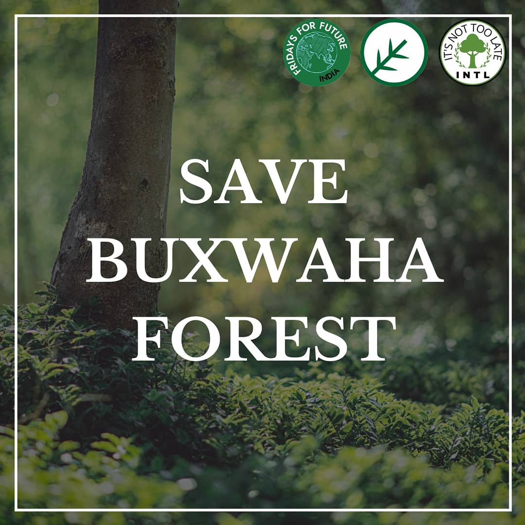whatabhithinks's tweet photo. #SaveBuxwahaSaveLife
#saveBuxwahaforest #SaveBuxwahaSaveLife 

2.5 Lakh trees to be cut down and a whole jungle to be made into a mining site for diamonds!Sad!When will we learn??
#stopcuttingtress @ChouhanShivraj @narendramodi @PMOIndia https://t.co/g5XS12Cwv8