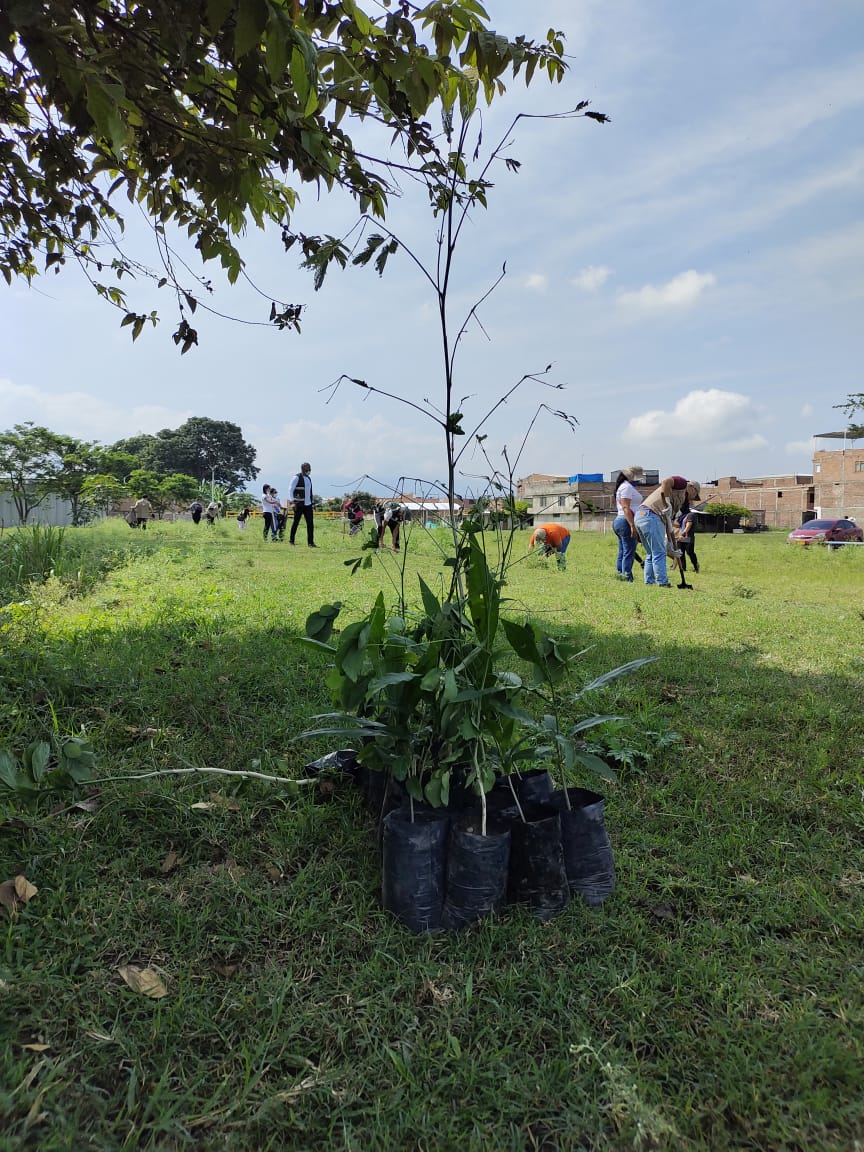 ValleVerde tweet media