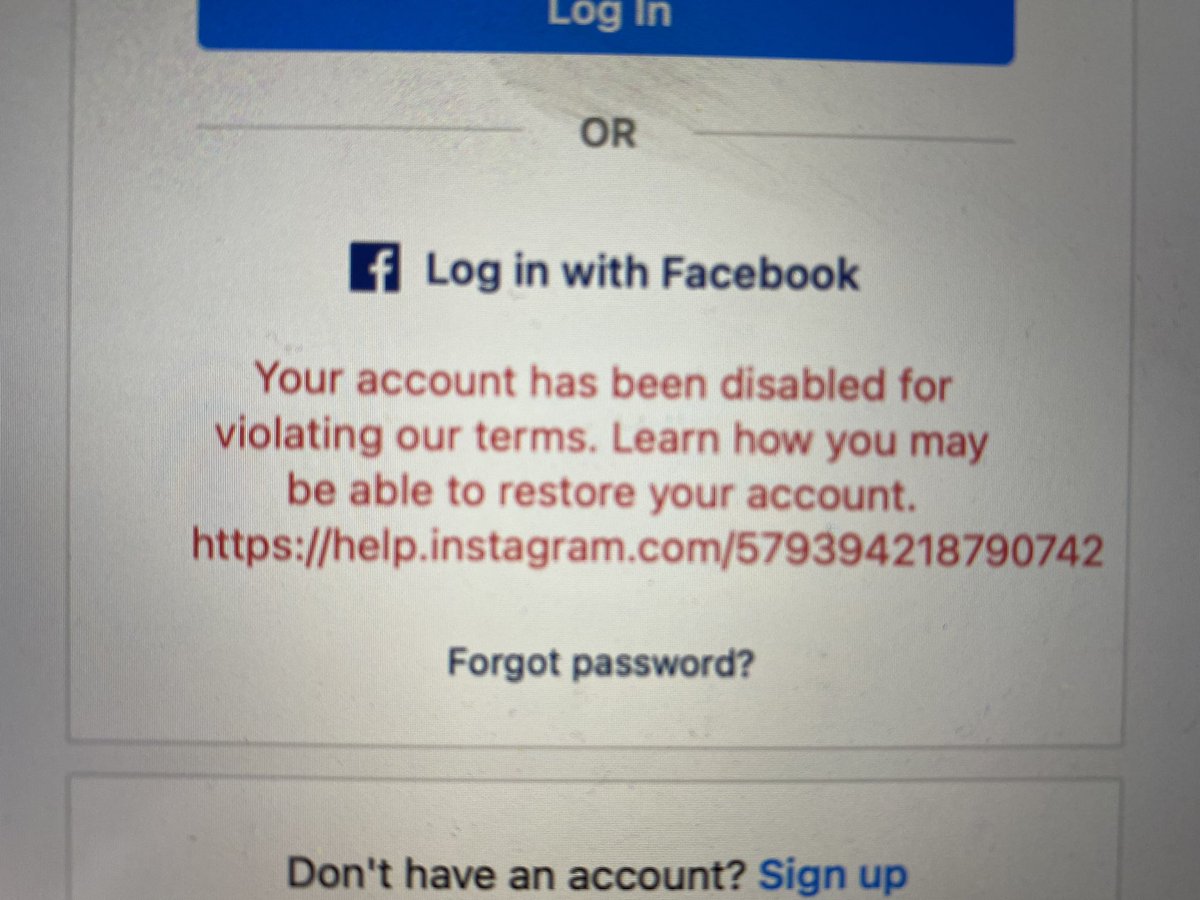 PandaBoss tweet media