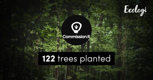 We just planted 122 trees towards our goal of helping to reduce the impact of climate change.

Just by commissioning anything from Art to Home improvements through us you can help to reduce your impact on the environment.
ecologi.com/commissionit