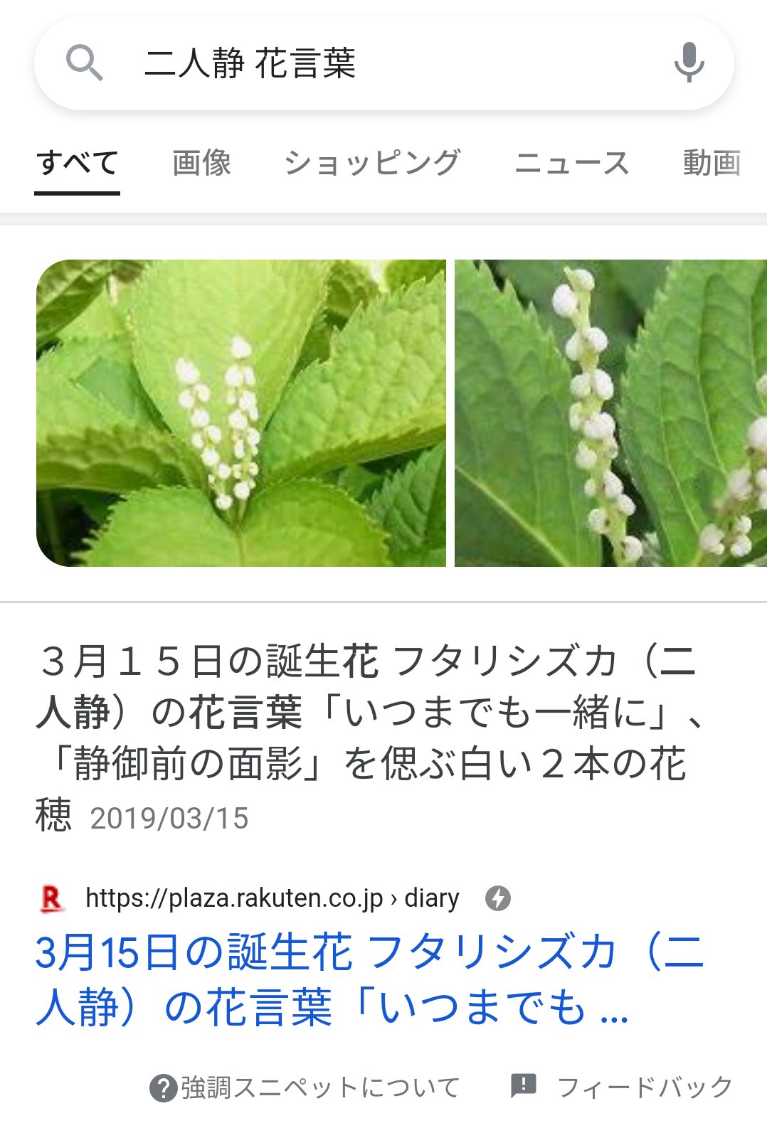 ゆ え こんな素敵な花言葉だったんだ いいね フタリシズカ 二人静 花言葉 ゆ え こんな素敵な花言葉だったんだ いいね フタリシズカ 二人静 花言葉