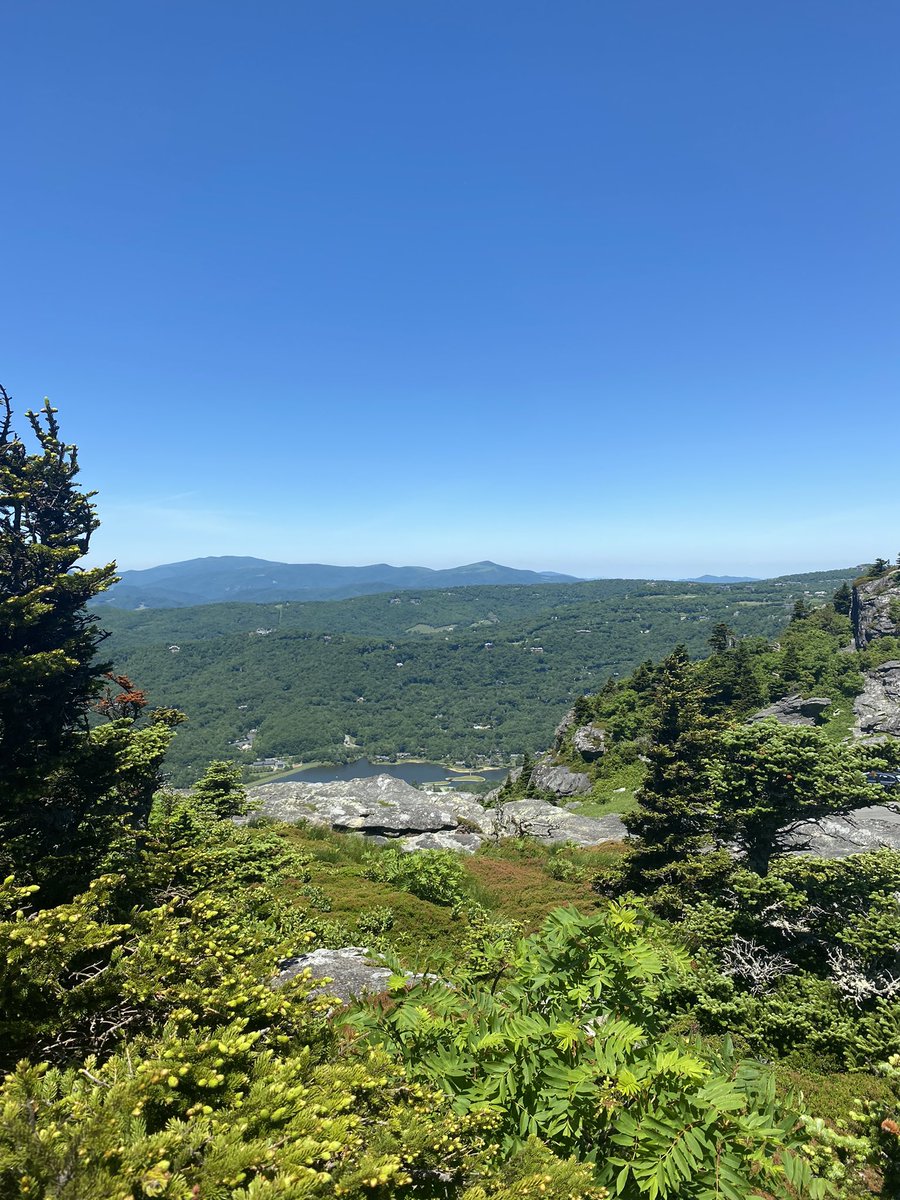 DaveMic49712574's tweet photo. Holy crap. This is beautiful. #Davecation https://t.co/r3uFFnr5bW
