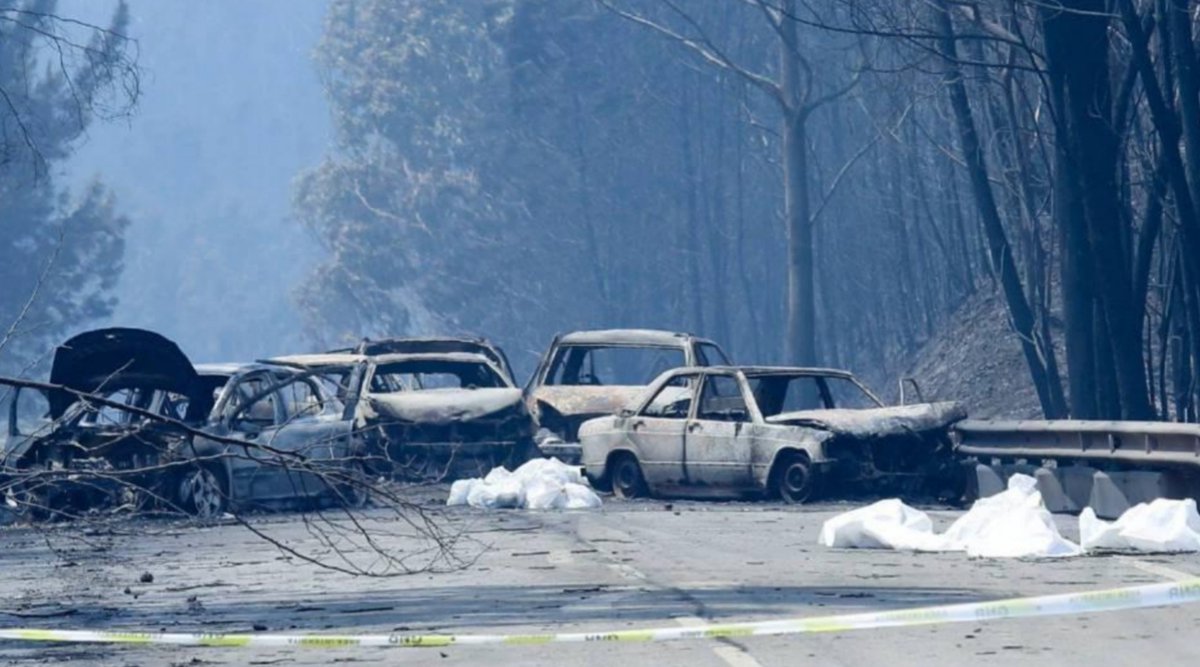 FenixCanarias's tweet photo. En las peores situaciones son de lamentar víctimas mortales
Los medios de extinción son cada vez más costosos y los combatientes se encuentran muy bien entrenados. https://t.co/vwOHeIAvnd