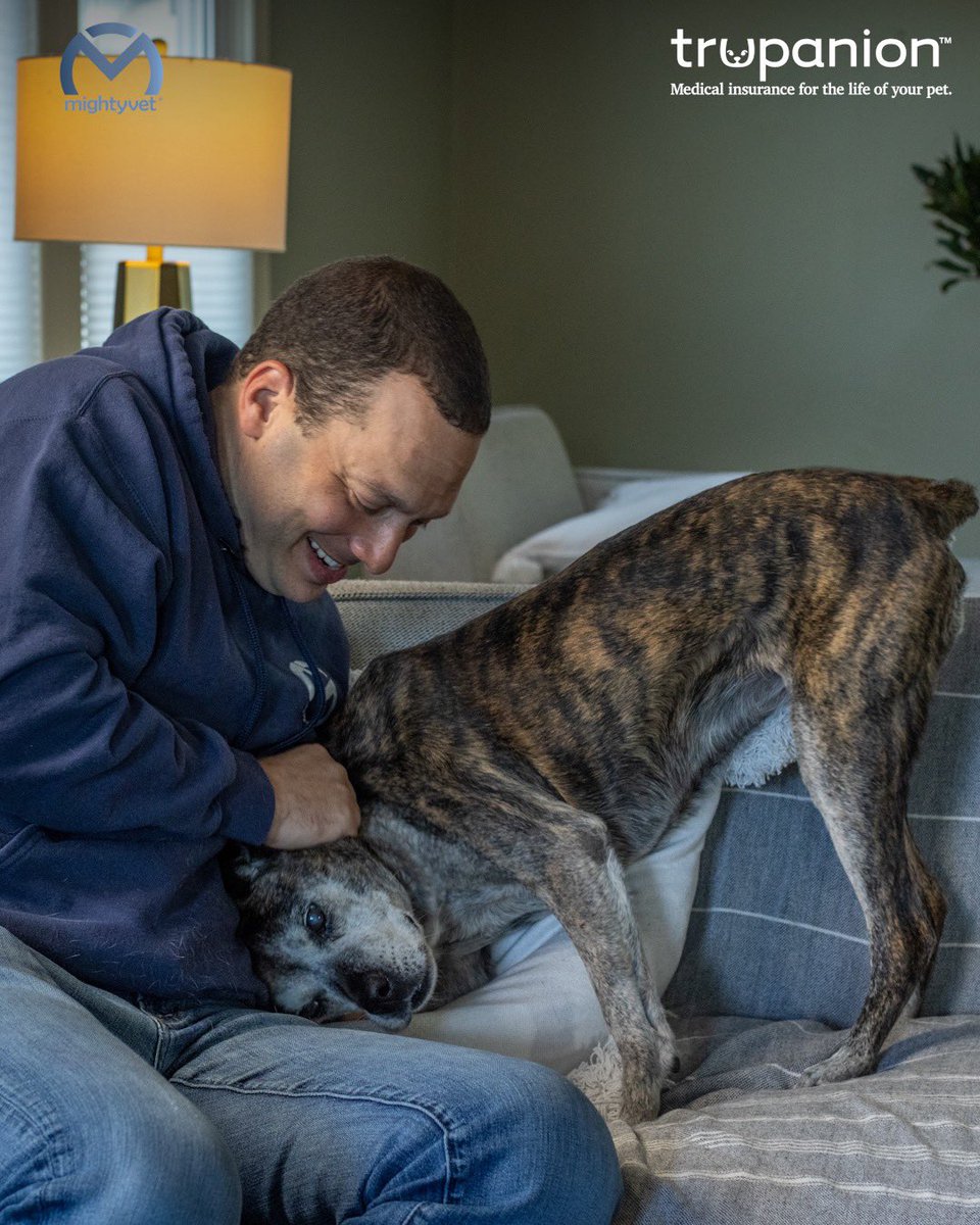 dog_rates's tweet image. This is Steve and Bug. Steve is a longtime veterinarian and the founder of @realmightyvet. Bug is his “12 year old little lady” who once swallowed a corn cob whole. Happens to the best of us. Both 15/10 #EarsToVets @Trupanion