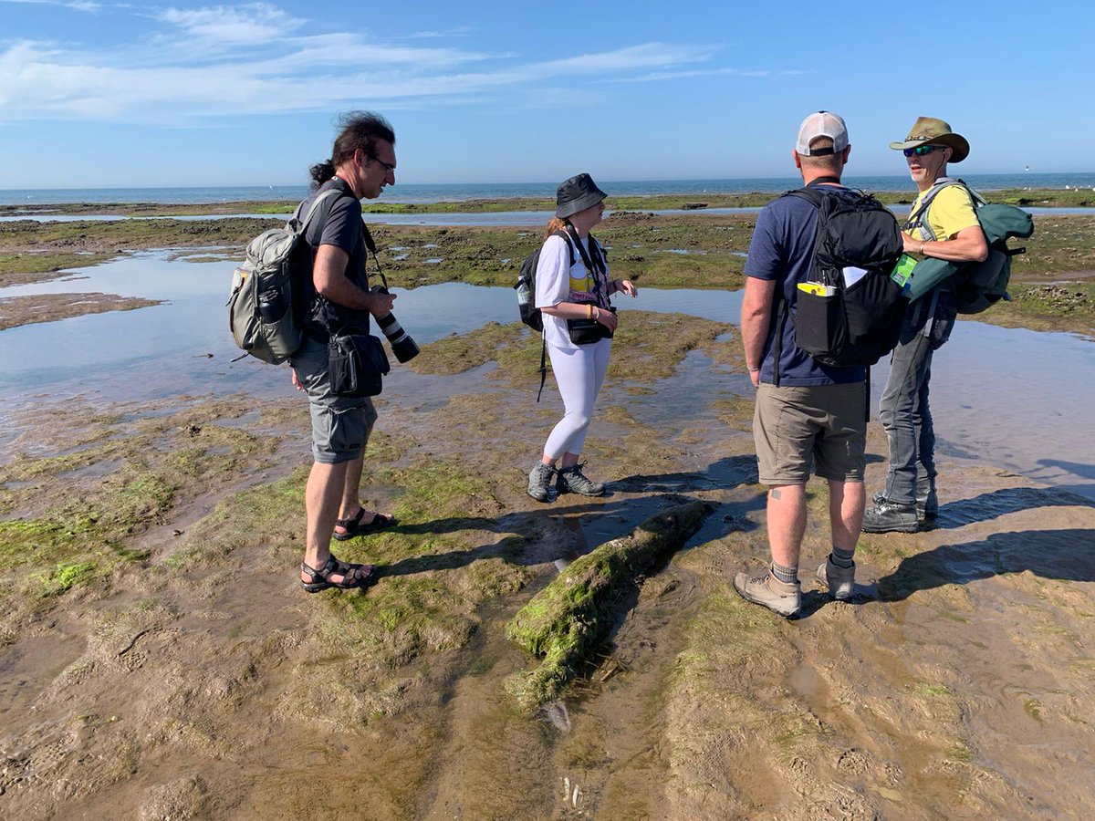 BECoS-MDX tweet media