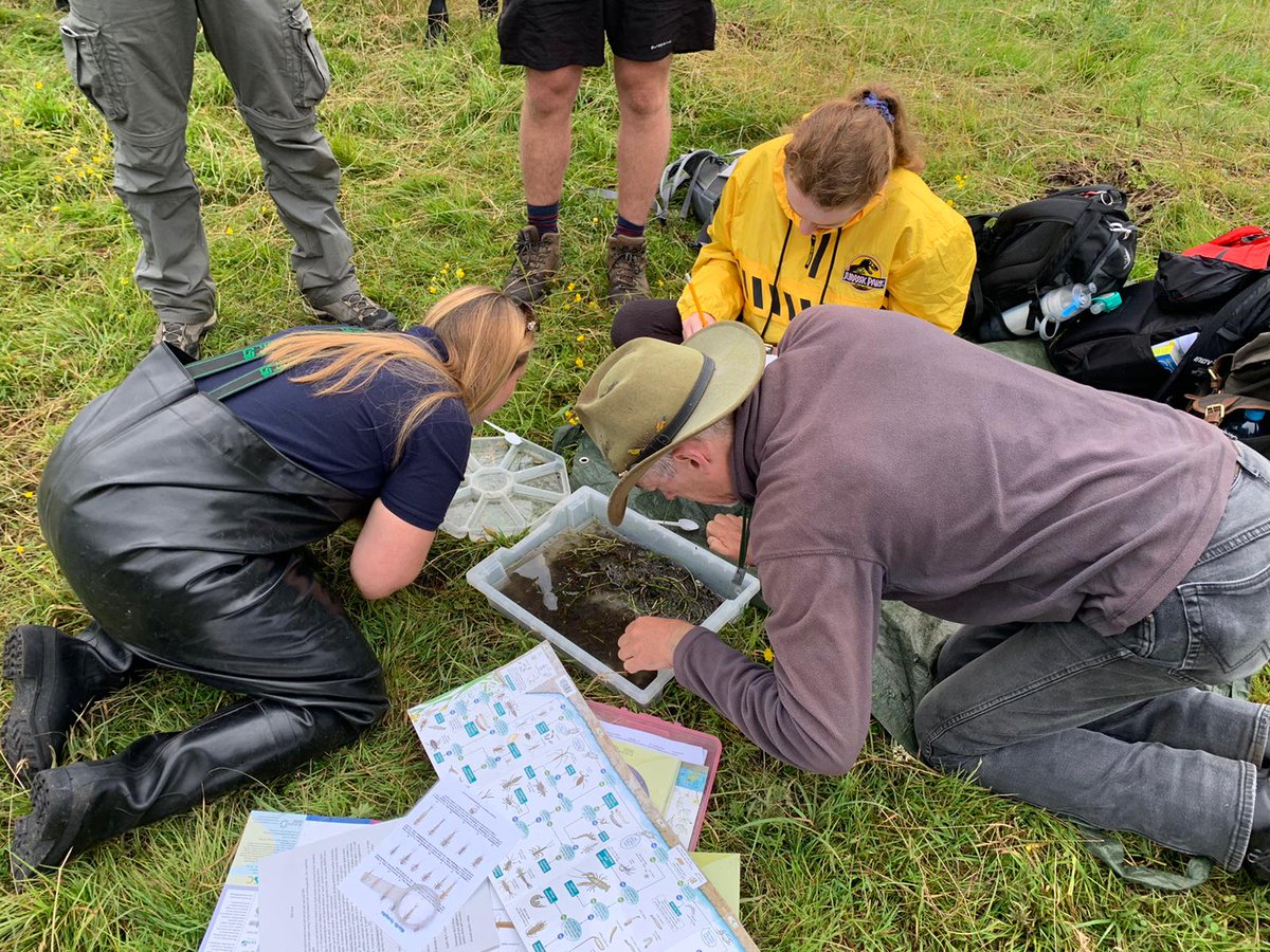 BECoS-MDX tweet media