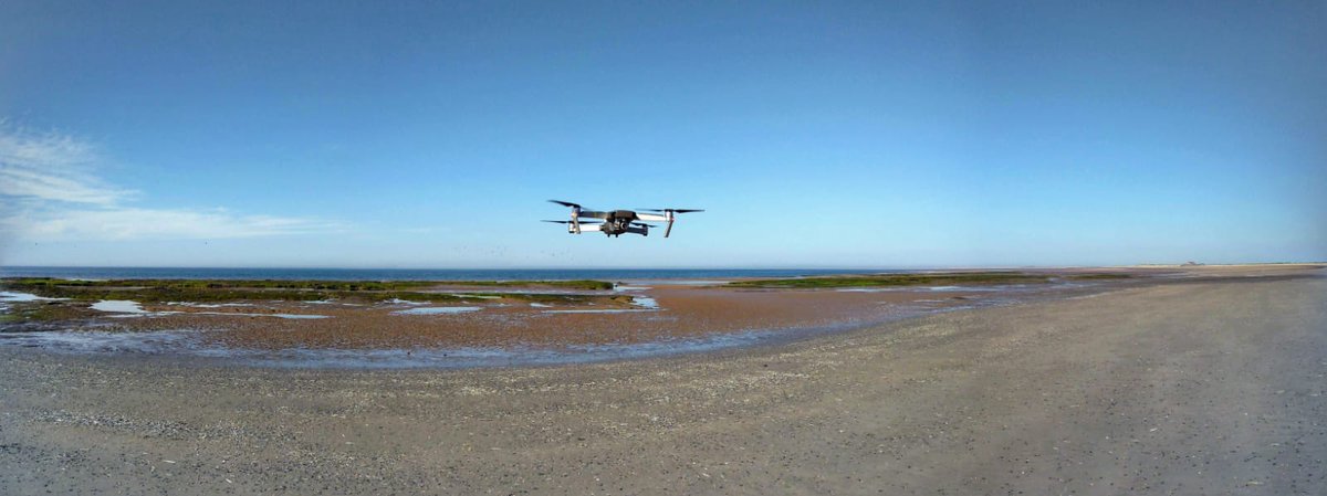 BECoS-MDX tweet media