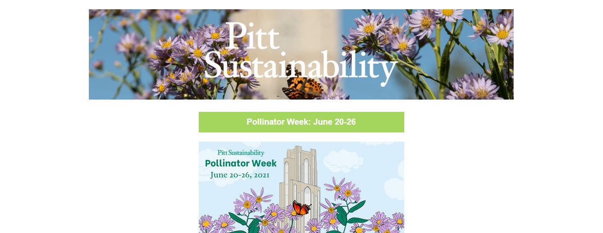 SustainablePitt's tweet photo. Our June newsletter is out! #Pollinators #Pride #Juneteenth #Events #EcoReps #Commute
Read it: https://t.co/dXMax3SMvd
Sign up to get it direct: https://t.co/RujnSovGZ3 https://t.co/g74xeFP8Dc